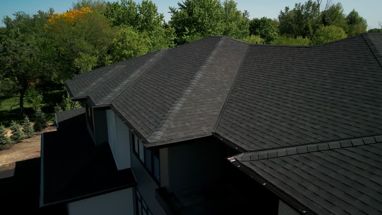 Best Roof Ventilation Installation  in River Forest, IL